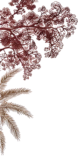 flower-deco-left